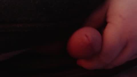 Snapshot of socksaddicted chatting on January 2025 01:47:01 PM Tom online show from January 2025 01:47:01 PM