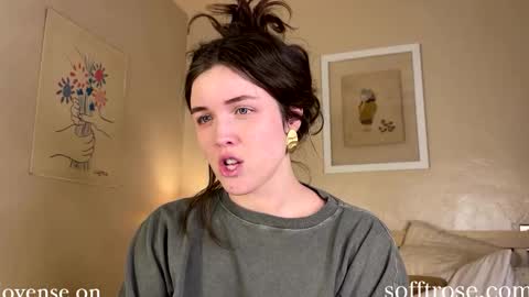 Snapshot of sofftrose chatting on January 2025 02:04:01 AM Julia online show from January 2025 02:04:01 AM