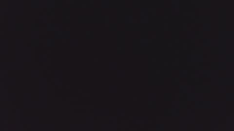     online show from February 2026 03:16:02 AM