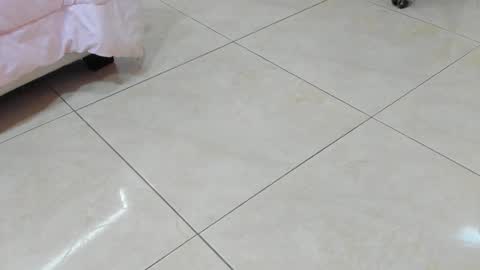 Snapshot of sofiaabigboobs chatting on November 2025 11:54:02 AM sofiaabigboobs online show from November 2025 11:54:02 AM