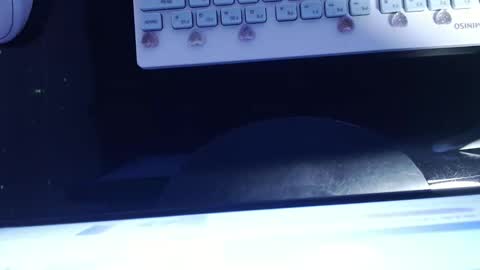 Snapshot of sofianix chatting on January 2025 06:06:01 AM SOFIA NIX online show from January 2025 06:06:01 AM