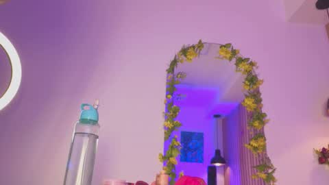 Snapshot of sofiesoft chatting on October 2025 01:12:02 PM Sofie online show from October 2025 01:12:02 PM