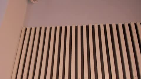 Snapshot of sofiesoft chatting on November 2025 02:39:01 PM Sofie online show from November 2025 02:39:01 PM