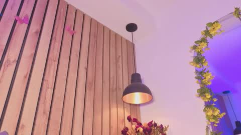 Snapshot of sofiesoft chatting on November 2025 02:39:02 PM Sofie online show from November 2025 02:39:02 PM