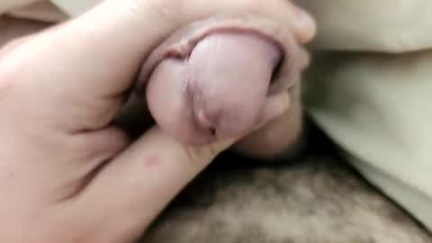 Snapshot of softenough chatting on November 2025 11:34:01 AM soft enough online show from November 2025 11:34:01 AM