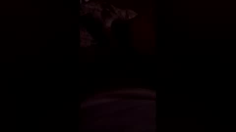 soitslittle online show from July 2026 09:56:02 AM