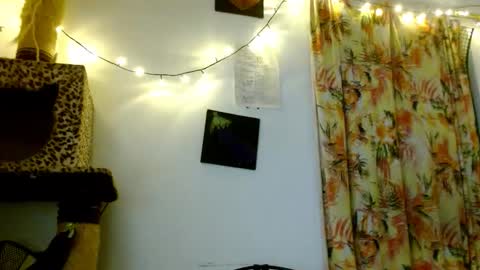 Sofia online show from February 2026 03:46:02 AM