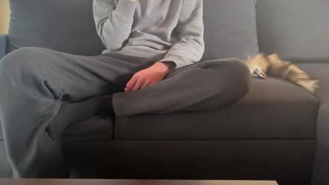 Sondages online show from March 2025 10:41:02 AM