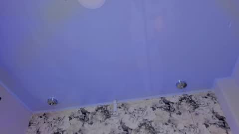 Sophi  online show from December 2024 08:36:01 AM