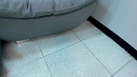 Snapshot of sophieharris__ chatting on January 2025 05:41:02 AM sophieharris__ online show from January 2025 05:41:02 AM