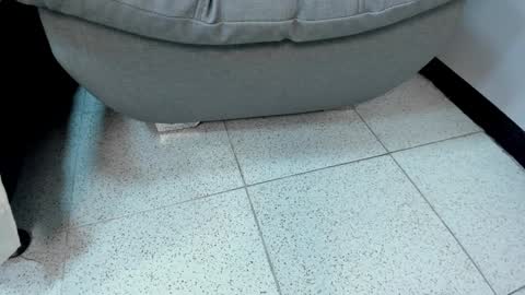 Snapshot of sophieharris__ chatting on January 2025 11:36:02 PM sophieharris__ online show from January 2025 11:36:02 PM