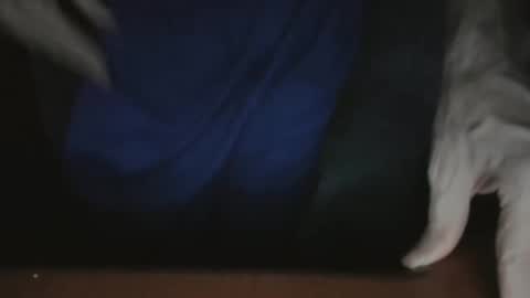 Snapshot of southflaman chatting on November 2025 05:17:01 AM ScorpioKobra online show from November 2025 05:17:01 AM