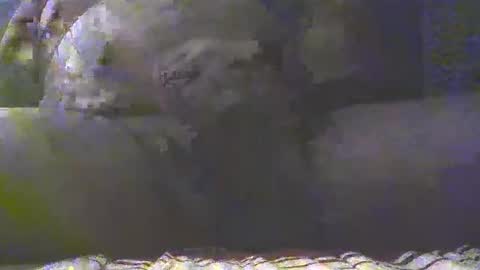 Golan online show from March 2025 07:32:02 PM