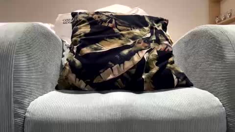 Dany online show from February 2025 11:54:02 PM