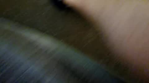 species online show from December 2024 10:15:02 AM