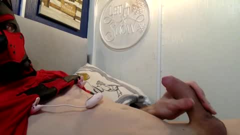 Spidey Pup online show from December 2024 10:09:01 PM