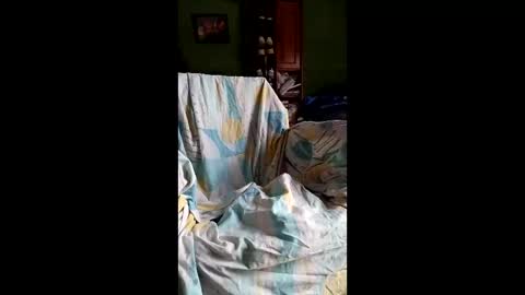 spieguelman online show from April 2026 11:24:02 AM