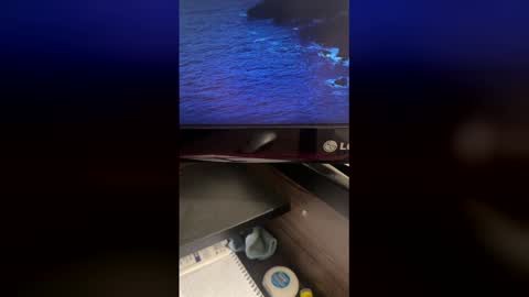 Snapshot of split_manager chatting on March 2026 06:01:01 PM split_manager online show from March 2026 06:01:01 PM