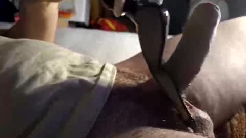 Snapshot of srb543 chatting on December 2025 09:09:02 PM srb543 online show from December 2025 09:09:02 PM