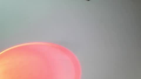 srghost333 online show from March 2026 04:18:01 AM