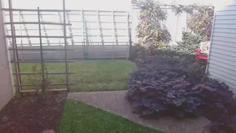 srtxshow online show from November 2025 08:47:02 PM