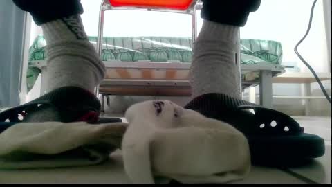 Snapshot of ssenzo chatting on December 2024 09:54:02 PM ssenzo online show from December 2024 09:54:02 PM