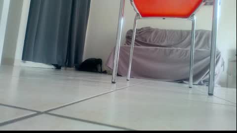 Snapshot of ssenzo chatting on December 2025 02:13:01 PM ssenzo online show from December 2025 02:13:01 PM