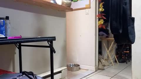 Submissive Slut LOVES adoration online show from November 2025 03:18:02 AM