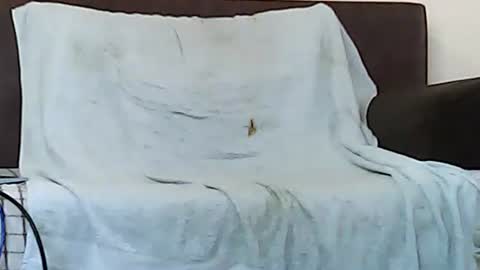 Snapshot of star0806666a chatting on November 2025 10:05:01 AM star0806666a online show from November 2025 10:05:01 AM