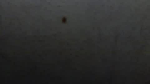 Snapshot of starguy600 chatting on January 2026 07:46:01 AM starguy600 online show from January 2026 07:46:01 AM