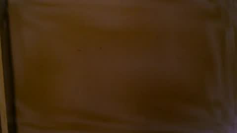 Snapshot of starlight09102 chatting on December 2024 07:00:01 PM Starlight online show from December 2024 07:00:01 PM