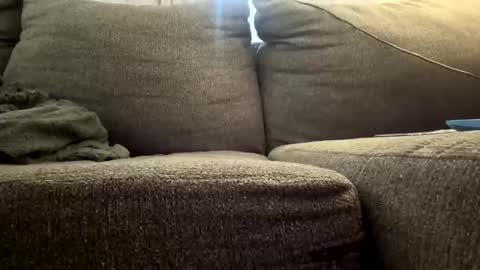 starr3095 online show from December 2025 03:10:01 PM