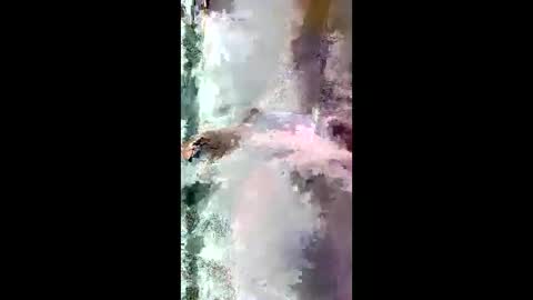 Snapshot of starrywhispers chatting on March 2026 11:21:01 AM StarryWhispers online show from March 2026 11:21:01 AM