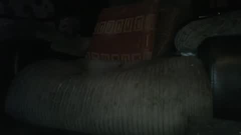 Snapshot of ste_wulf chatting on March 2025 01:34:02 AM ste_wulf online show from March 2025 01:34:02 AM