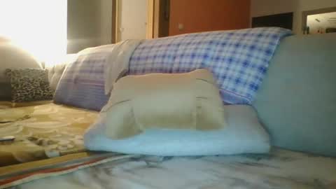 Snapshot of steki038434 chatting on January 2025 02:03:02 AM steki038434 online show from January 2025 02:03:02 AM