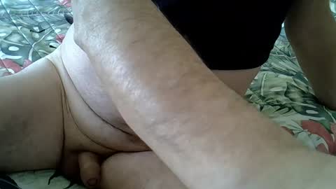 Snapshot of stel7621 chatting on December 2024 01:46:01 PM Rocco-load online show from December 2024 01:46:01 PM