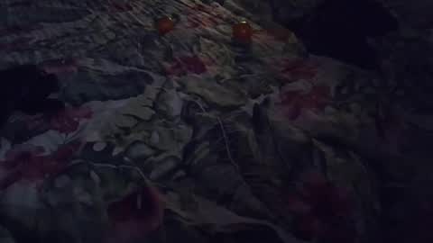 Snapshot of stel7621 chatting on January 2025 06:56:01 PM Rocco-load online show from January 2025 06:56:01 PM