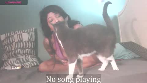 Stella Clitella online show from October 2025 11:40:02 AM