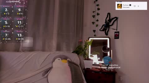 stellart_ online show from January 2025 04:17:02 AM