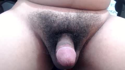 Snapshot of stellaven chatting on January 2025 10:11:01 AM Stellaven online show from January 2025 10:11:01 AM