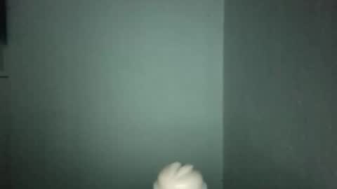 Alpharius 17 online show from January 2026 12:25:01 AM