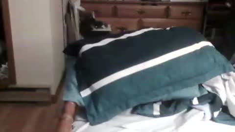 Snapshot of sterben13v chatting on December 2024 12:03:02 AM Ian23602 online show from December 2024 12:03:02 AM