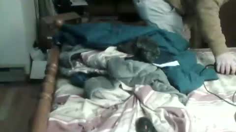 Snapshot of sterben13v chatting on January 2025 07:27:01 PM Ian23602 online show from January 2025 07:27:01 PM