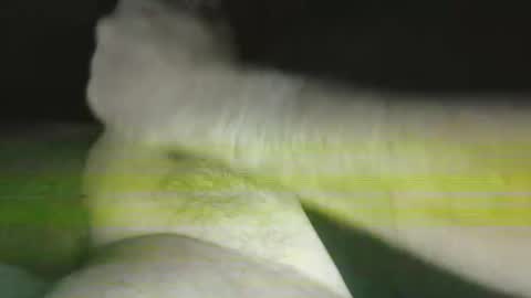 Steve online show from October 2025 10:59:01 AM