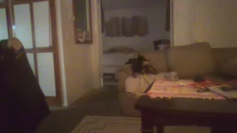 steven903625 online show from January 2025 06:20:01 AM