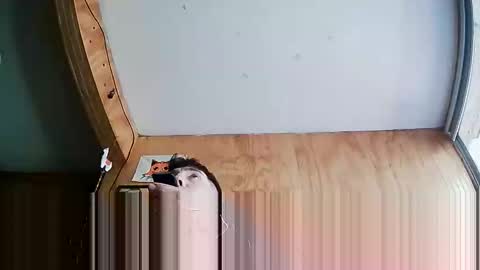 Steve online show from October 2025 07:23:02 PM