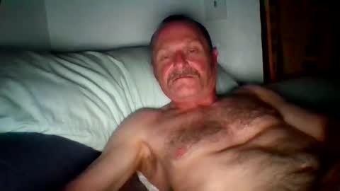 Snapshot of steviehard7 chatting on November 2025 08:12:01 AM steviehard7 online show from November 2025 08:12:01 AM