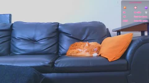 Stiven Montiel online show from January 2026 01:47:02 PM