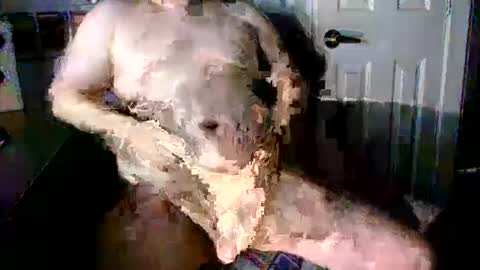 StockynCuddly online show from October 2025 11:06:02 PM