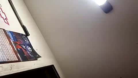 Oval2022 online show from January 2025 01:16:02 PM